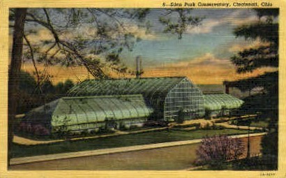Eden Park Conservatory - Cincinnati, Ohio OH Postcard