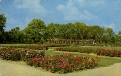 Park of Roses - Columbus, Ohio OH Postcard