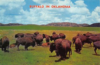 Buffalo OK