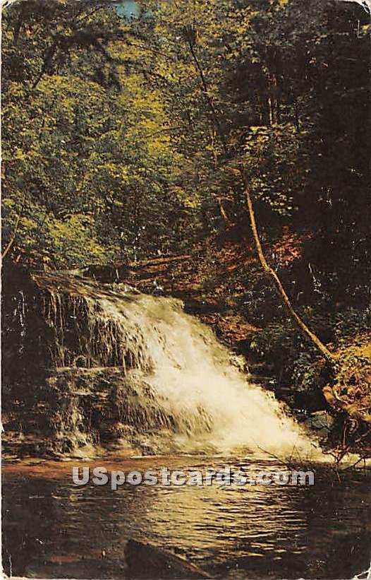 Waterfall, Turkey Path - Leonard Harrison State Park, Pennsylvania PA Postcard