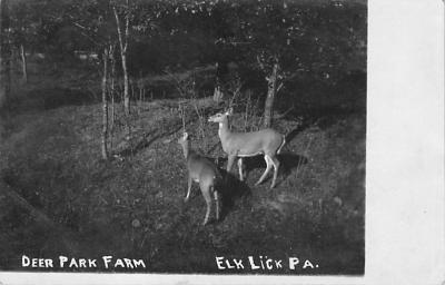 Elk Lick PA