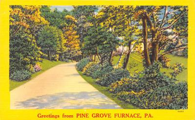 Pine Grove Furnace PA