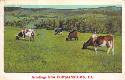 Bowmanstown PA