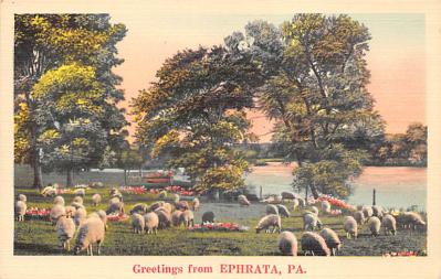 Ephrata PA