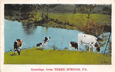 Three Springs PA