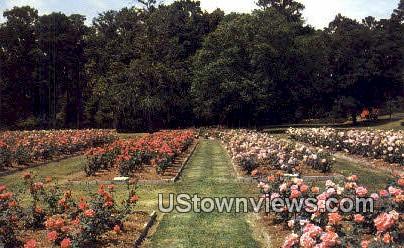 Edisto Gardens - Orangeburg, South Carolina SC Postcard