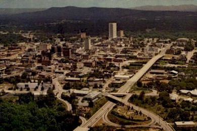 Business Section - Greenville, South Carolina SC Postcard