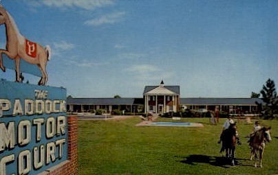 The Paddock Motor Court - Manning, South Carolina SC Postcard