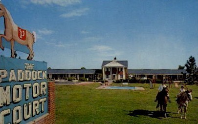 The Paddock Motor Court - Manning, South Carolina SC Postcard