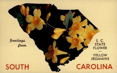 Greetings From South Carolina - Misc Postcard