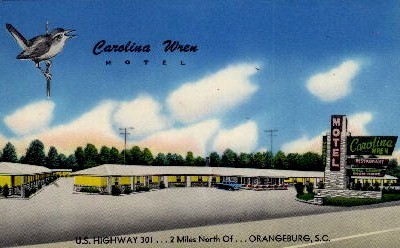 Carolina Wren Motel - Orangeburg, South Carolina SC Postcard