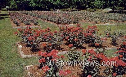 Edisto Gardens - Orangeburg, South Carolina SC Postcard