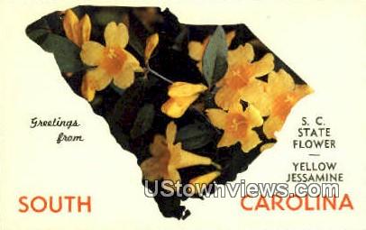 Yellow Jessamine - Misc, South Carolina SC Postcard