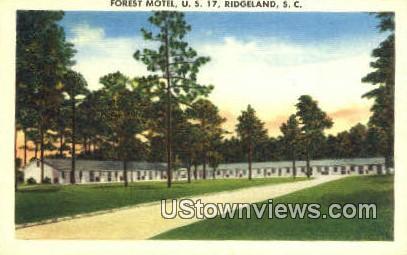 Forest Motel - Ridgeland, South Carolina SC Postcard