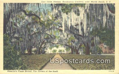 Live Oake Avenue, Brookgreen Gardens - Myrtle Beach, South Carolina SC Postcard