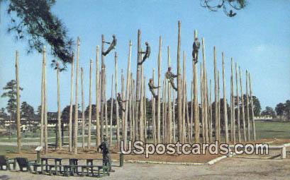 Pole Orchard - Fort Jackson, South Carolina SC Postcard