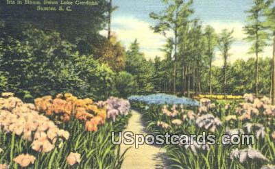 Swan Lake Gardens - Sumter, South Carolina SC Postcard