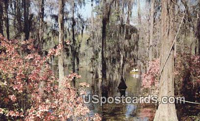 Cypress Gardens - Berkeley County, South Carolina SC Postcard