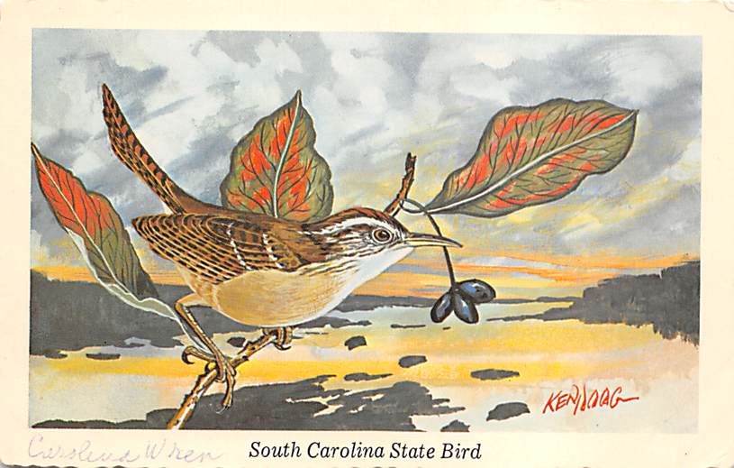State Bird SC