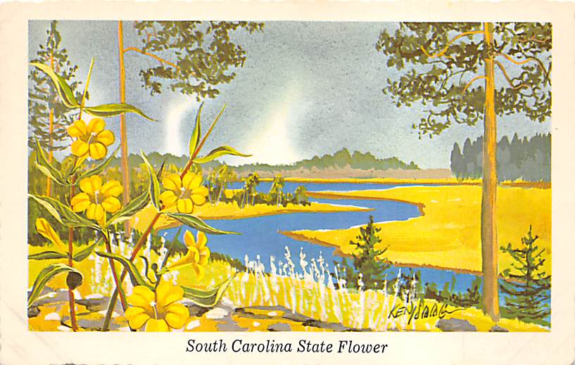 State Flower SC