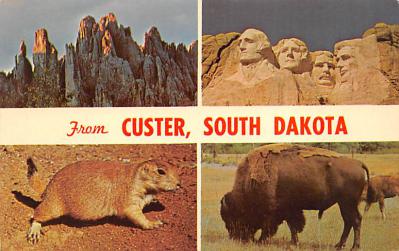 Custer SD