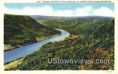 Grand Canyon - Signal Mountain, Tennessee TN Postcard
