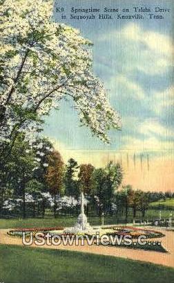 Springtime Talahi Drive Sequoyah Hills  - Knoxville, Tennessee TN Postcard