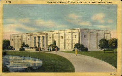 Museum Of Natural History - Dallas, Texas TX Postcard