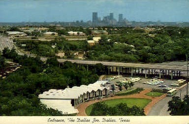 The Dallas 300 - Texas TX Postcard