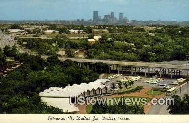 Dallas Zoo - Texas TX Postcard