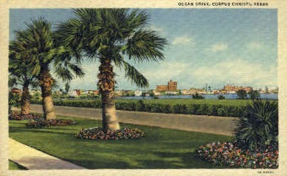Ocean Drive - Corpus Christi, Texas TX Postcard