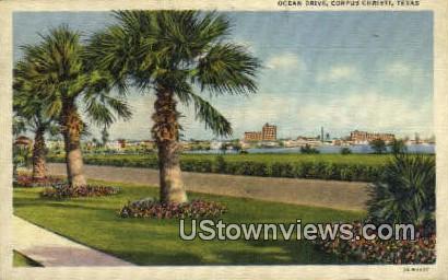 Ocean Drive - Corpus Christi, Texas TX Postcard
