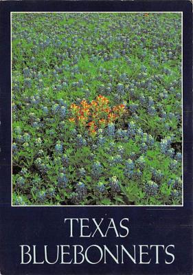 Texas State Flower TX