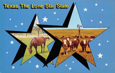 Lone Star State TX