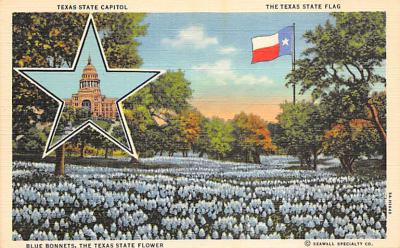 State Flag TX