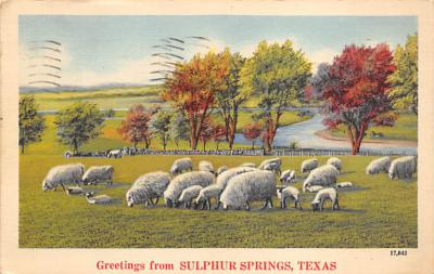 Sulphur Springs TX