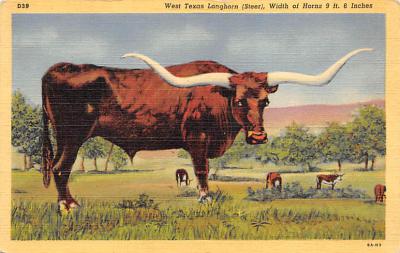 West Texas TX