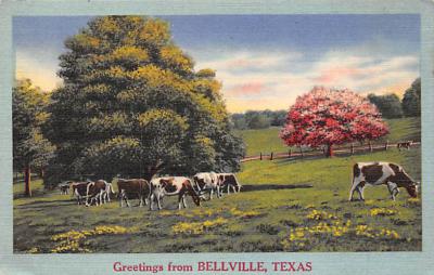 Bellville TX
