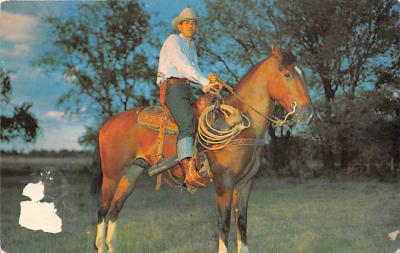 Cowboys TX