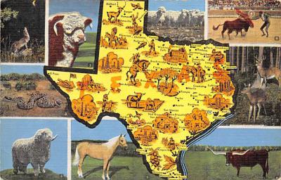 Map TX