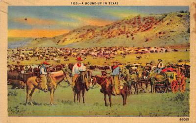 Cowboys TX