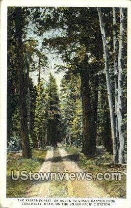 Kaibab Forest - Cedar City, Utah UT Postcard