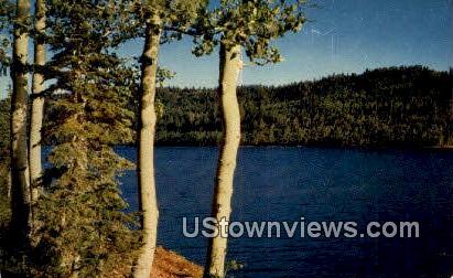Navajo Lake - Dixie National Forest, Utah UT Postcard
