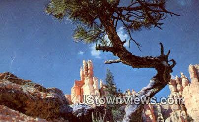 Queen's Garden - Bryce National Park, Utah UT Postcard