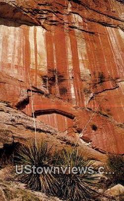 Yucca & Red Streaked Wall - Zion National Park, Utah UT Postcard