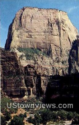 Great White Throne - Zion National Park, Utah UT Postcard