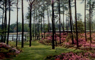 Delhaven Gardens and Nursery - Bayside, Virginia VA Postcard