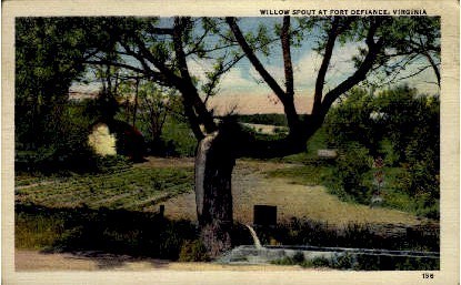 Willow Spout - Fort Defiance, Virginia VA Postcard