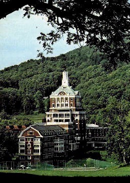 The Homestead - Hot Springs, Virginia VA Postcard