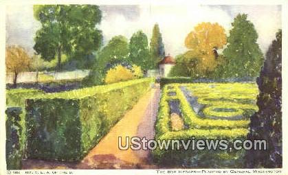 The Box Hedges - Mount Vernon, Virginia VA Postcard